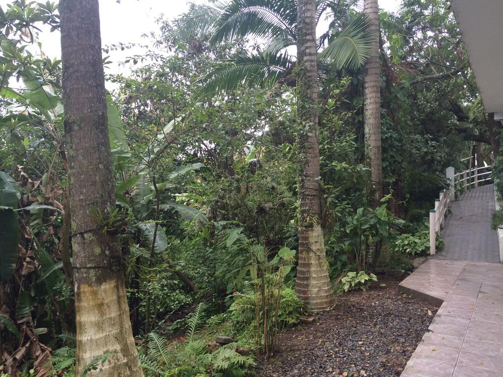 Hotel Pousada Reimar Balneário Camboriú Kültér fotó