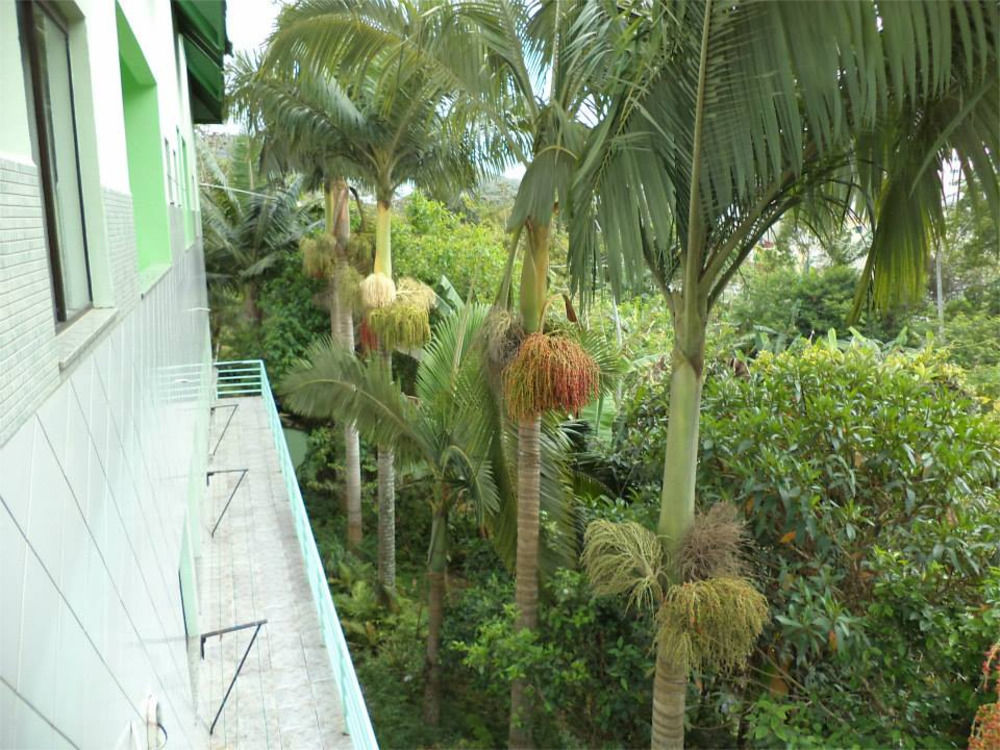 Hotel Pousada Reimar Balneário Camboriú Kültér fotó